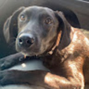 Meet your Posher, Derek